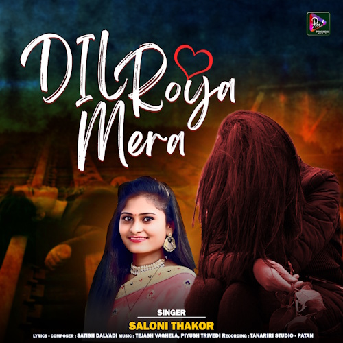 Dil Roya Mera 3000